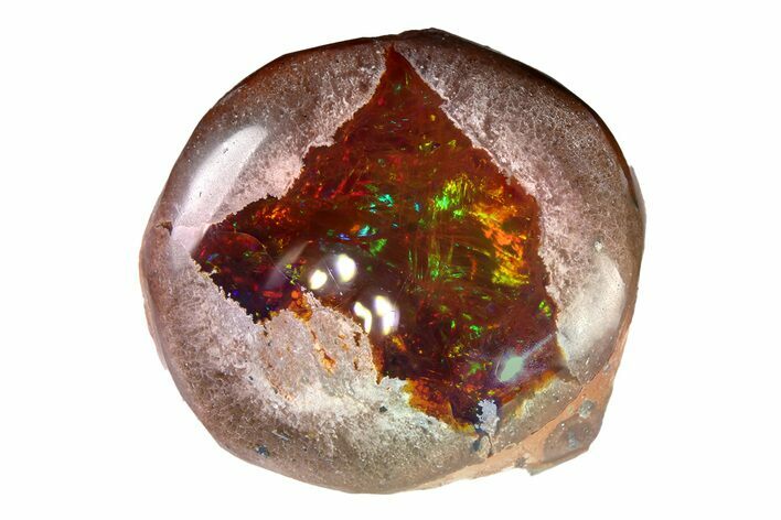 Polished Ethiopian Chocolate Opal Nodule - Yita Ridge #316169